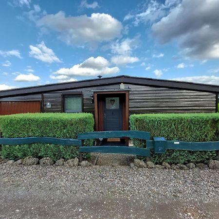 Ferienhaus Eifel Nature Dream Dockweiler Eksteriør billede